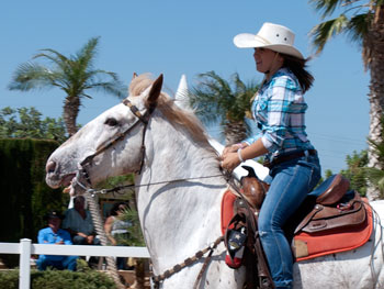 Monta western