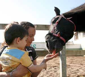 Terapias con caballos